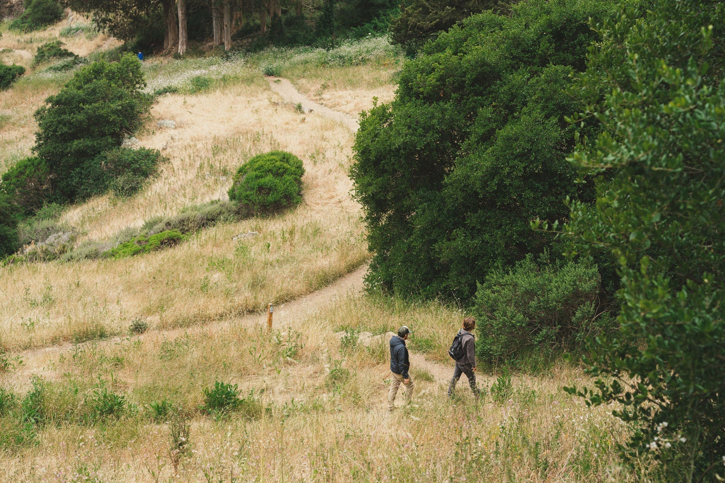 What's Cooking at Flour + Water: Taking a Walk in the Wilderness with Our Forager Menu