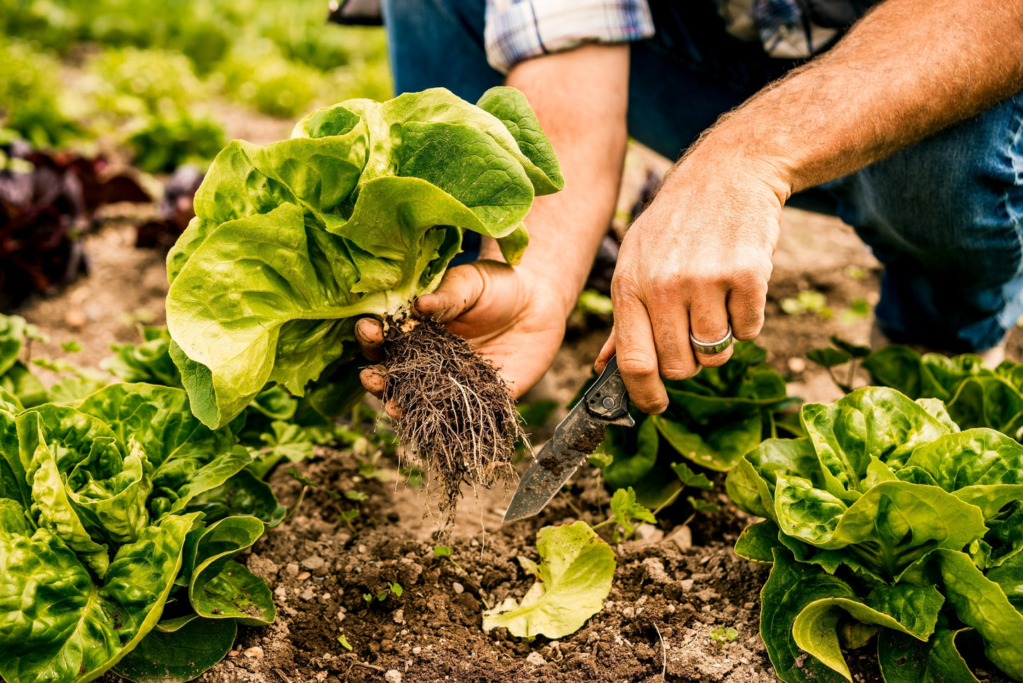 Four Planet-Friendly Companies to Know this Earth Month