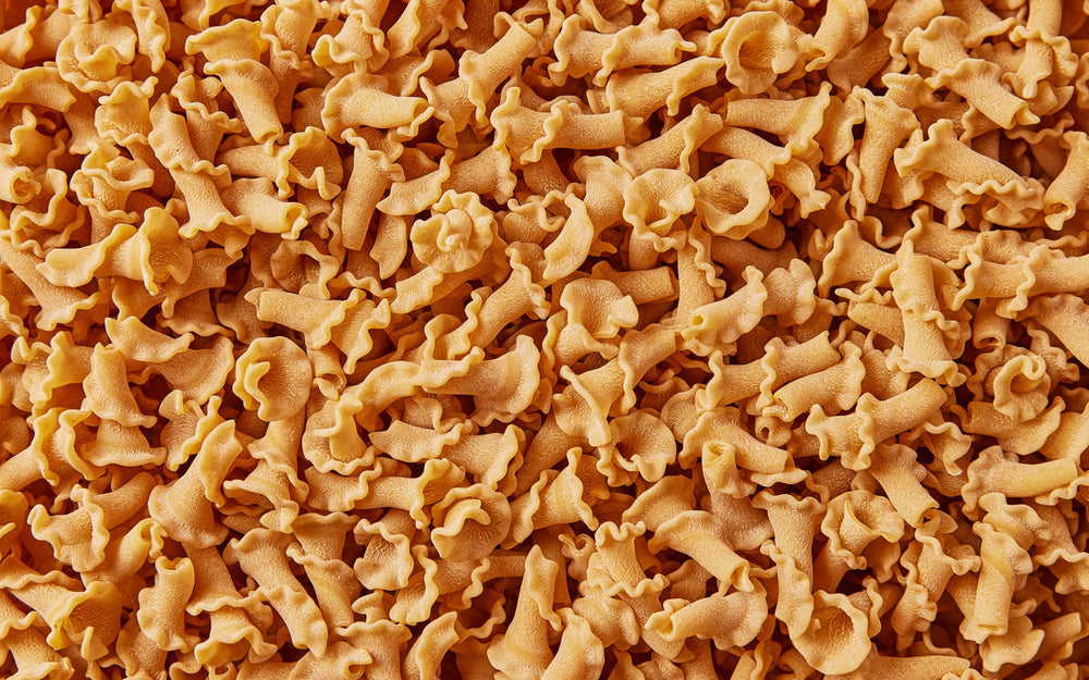 Bronze is Gold: Why We’re So Obsessed with Bronze-Cut Dried Pasta